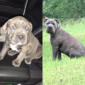 Meet your Posher, Johnny